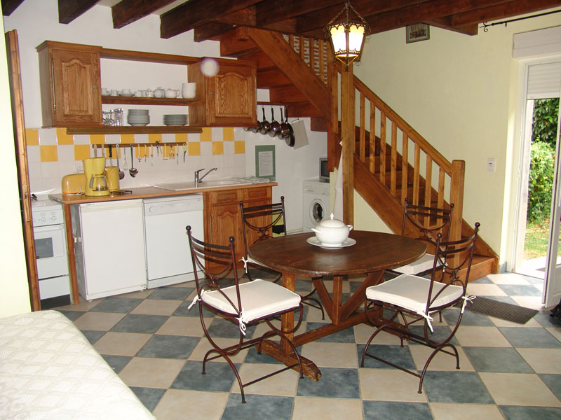 chat villeneuve sur lot