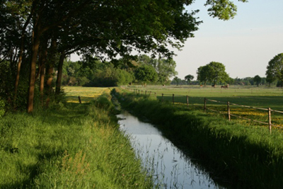 Omgeving NL-NB-0039
