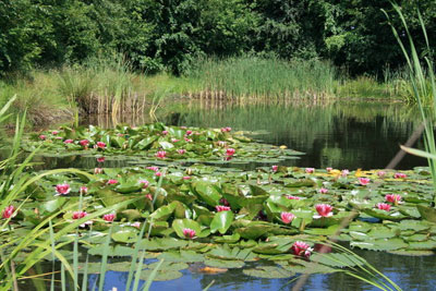 Omgeving NL-NB-0042
