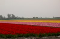 Omgeving NL-NH-0033 Omgeving NL-NH-0033