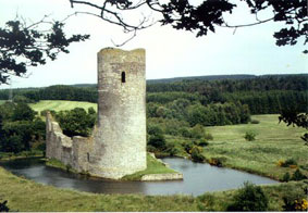 Burgruine Baldenau
