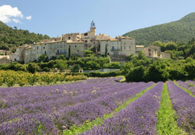 Lavendel velden in de Dr�me