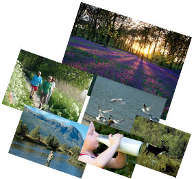 Groene accommodaties
in binnen- en
buitenland