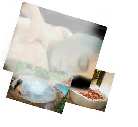 Wellness accommodaties
in binnen- enbuitenland