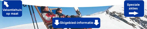 zoek en boek hier een wintersport vakantiehuis in Oostenrijk op maat, vind informatie over de Oostenrijkse skigebieden en profiteer van goedkope wintersport aanbiedingen