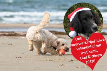 een huisdiervriendelijk huisje huren met je hond