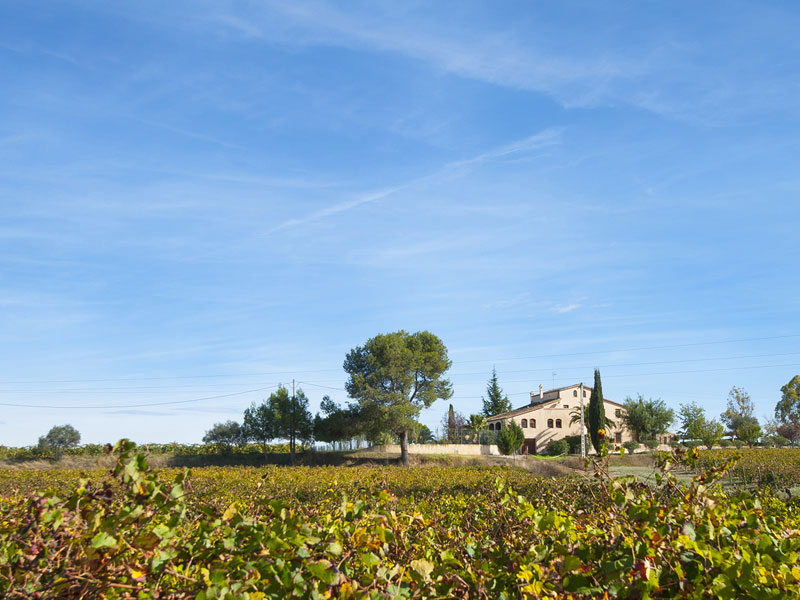 Vakantiehuis E-CAT-0034 4-personen in Sant Sadurni d' Anoia Spanje