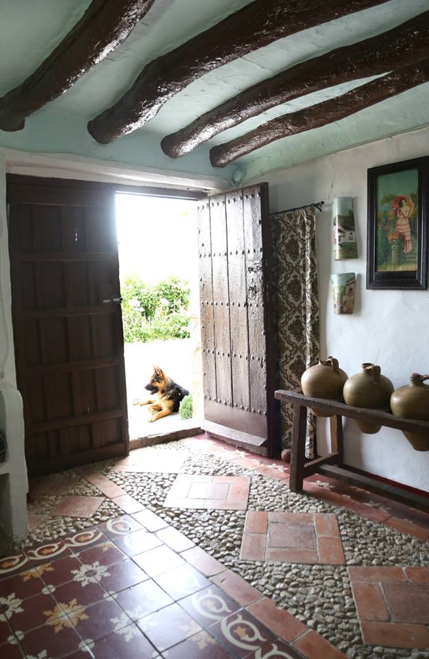 Wonen E-AND-0049