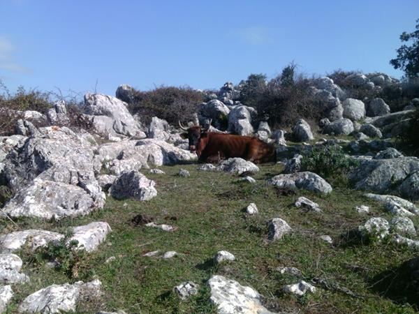 Parc Torcal