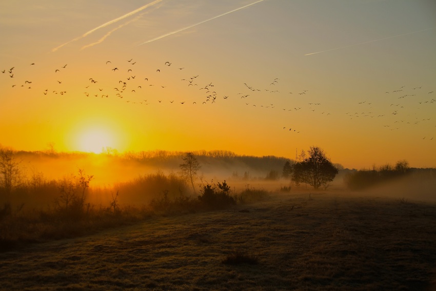 Omgeving NL-GL-0272