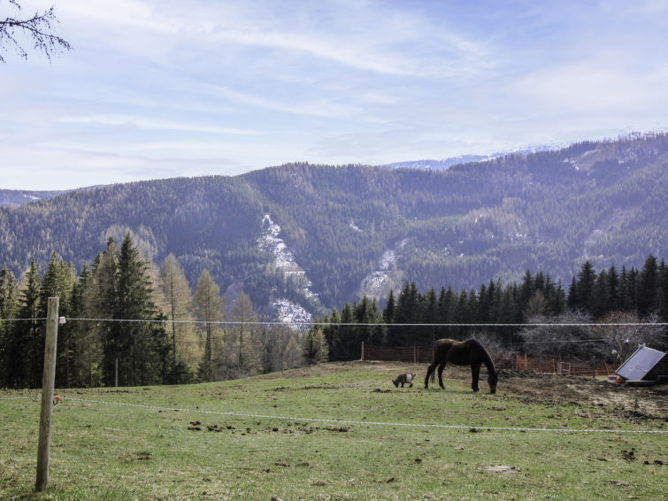 Foto van exterieur van Vakantiehuis Klippitztörl Foto van exterieur van Vakantiehuis Klippitztörl