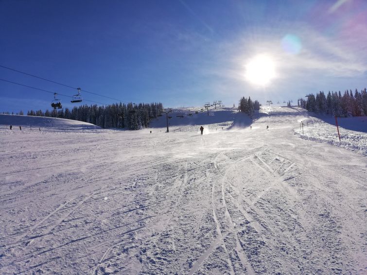 Foto van exterieur van Vakantiehuis Klippitztörlin de winter Foto van exterieur van Vakantiehuis Klippitztörlin de winter