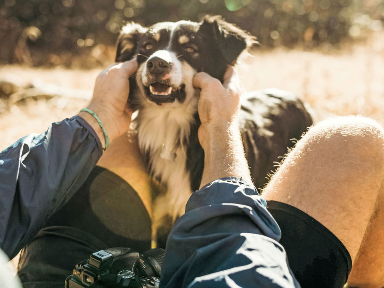 Foto van wonen van Vakantiehuis Klippitztörl Foto van wonen van Vakantiehuis Klippitztörl