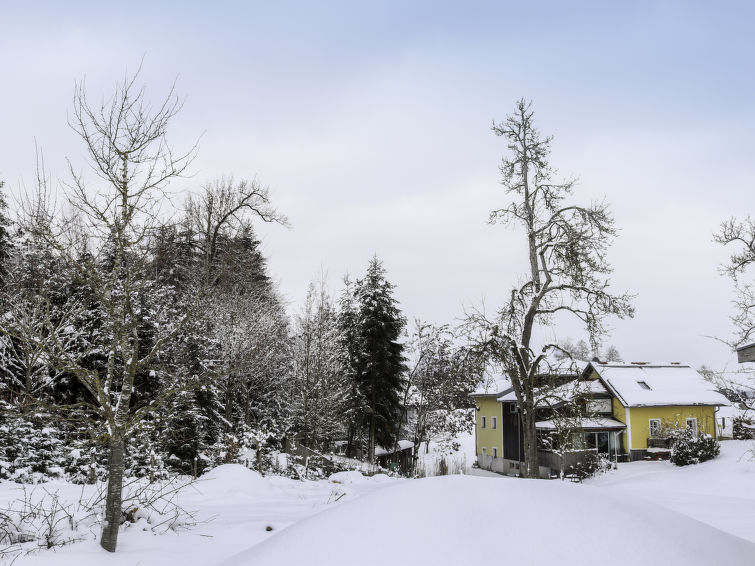 Foto van exterieur van Vakantiehuis Geinbergin de winter
