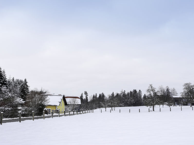 Foto van exterieur van Vakantiehuis Geinbergin de winter