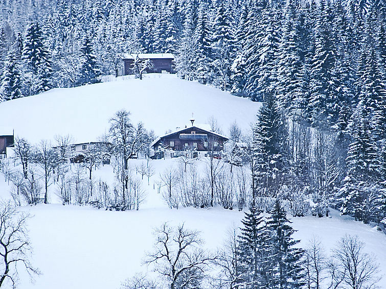 Foto van exterieur van Vakantiehuis Abtenauin de winter