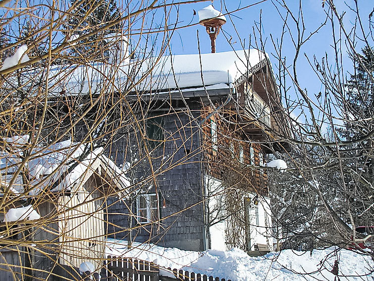 Foto van exterieur van Vakantiehuis Abtenauin de winter