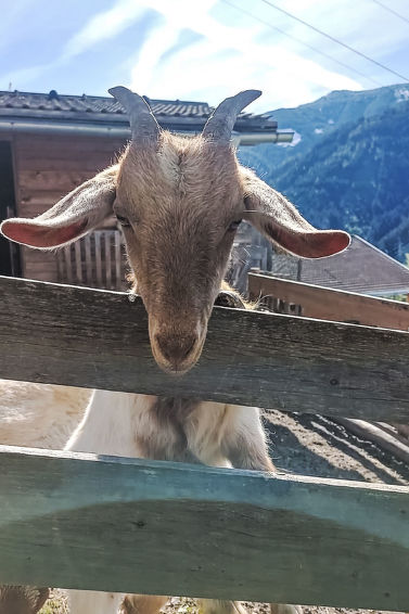 Foto van exterieur van Vakantiehuis Zell am See