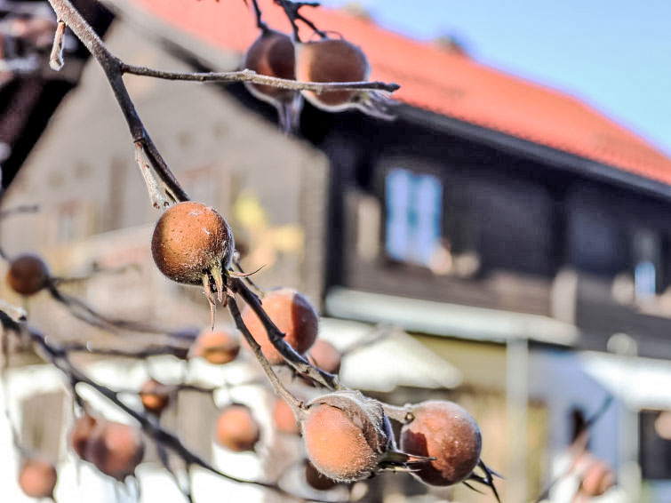 Foto van wonen van Vakantiehuis Strobl