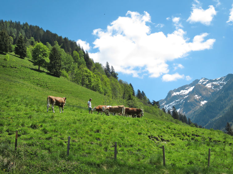 Foto van exterieur van Vakantiehuis Fusch