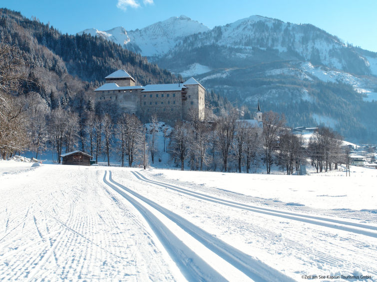 Foto van omgeving van Appartement Zell am Seein de winter