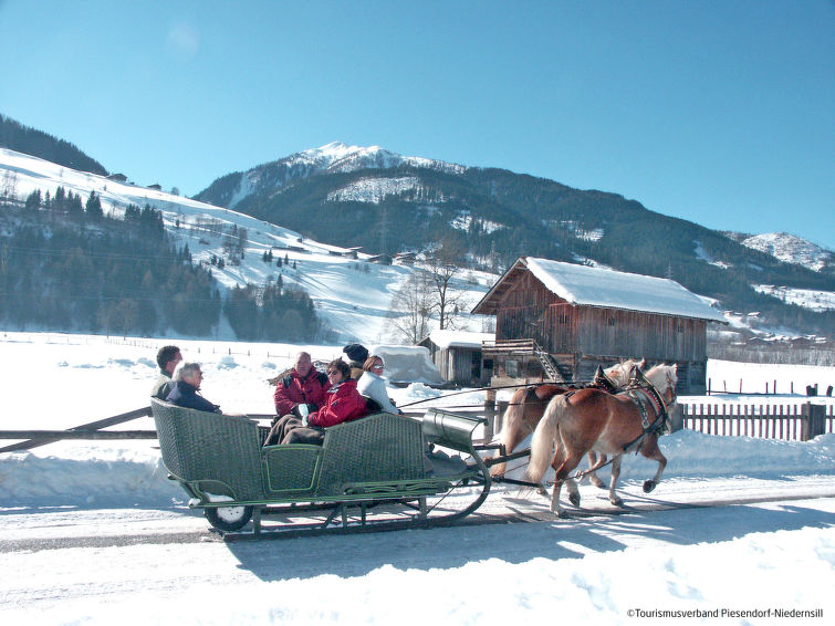 Foto van omgeving van Vakantiehuis Niedernsillin de winter