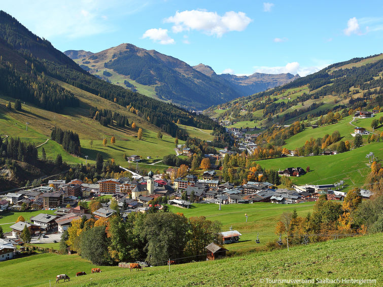 Foto van omgeving van Appartement Saalbach-Hinterglemm