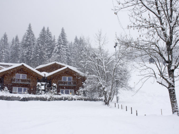 Gezellig Vakantiehuis Nikola in Flachau, Oostenrijk | Out! Vakantiehuizen