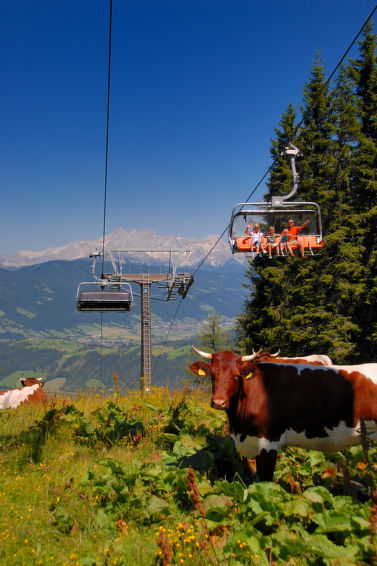 Foto van omgeving van Vakantiehuis Flachau