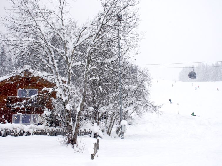 Foto van exterieur van Vakantiehuis Flachauin de winter
