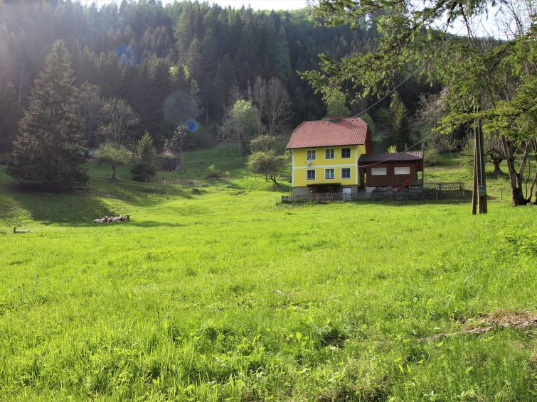 Foto van exterieur van Vakantiehuis Pernegg an der Murin de winter