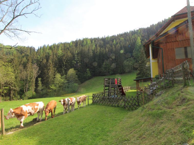 Foto van exterieur van Vakantiehuis Pernegg an der Murin de winter