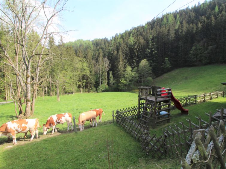 Foto van exterieur van Vakantiehuis Pernegg an der Murin de winter