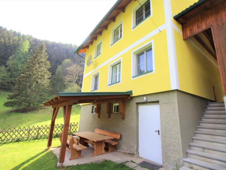 Foto van exterieur van Vakantiehuis Pernegg an der Murin de winter