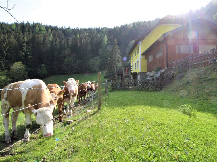 Foto van exterieur van Vakantiehuis Pernegg an der Murin de winter