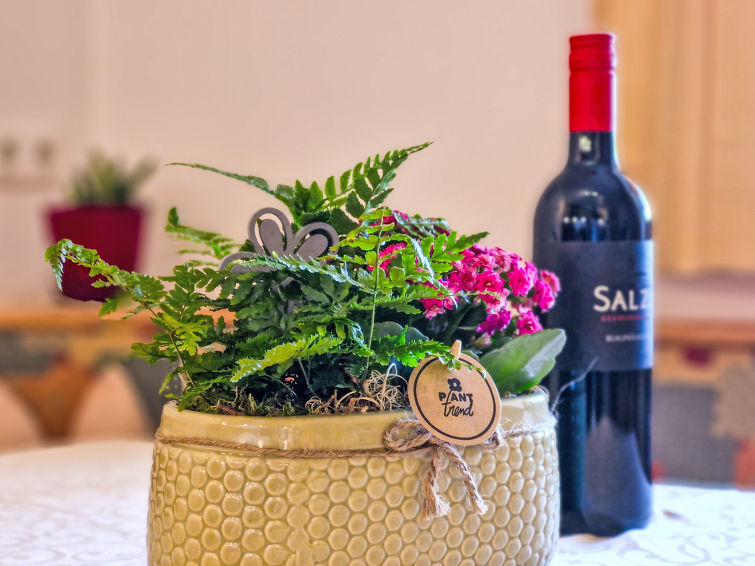 Foto van wonen van Appartement Reith bei Seefeld