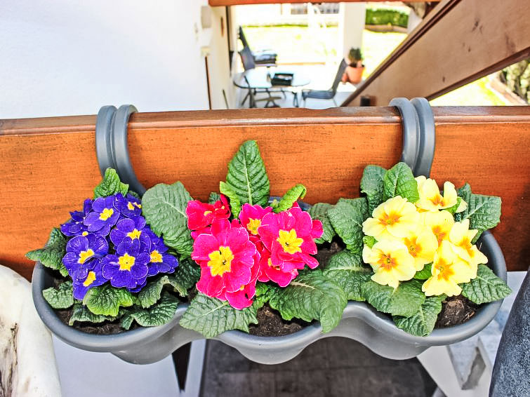 Foto van exterieur van Appartement Oberperfuss