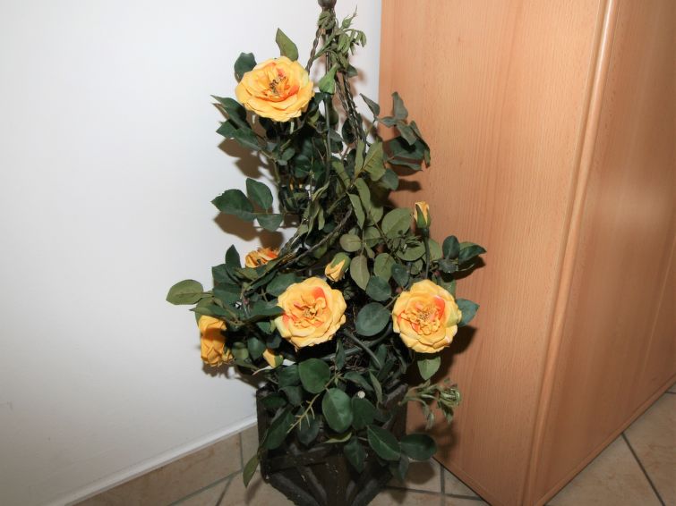 Foto van wonen van Appartement Kaltenbachin de winter