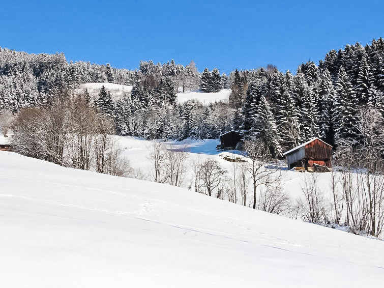 Foto van exterieur van Vakantiehuis Kaltenbachin de winter
