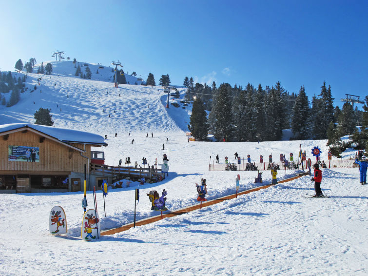 Foto van omgeving van Vakantiehuis Mayrhofenin de winter