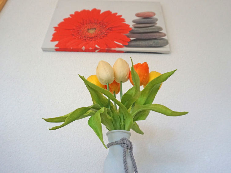 Foto van wonen van Appartement Fliess/Landeck/Tirol West