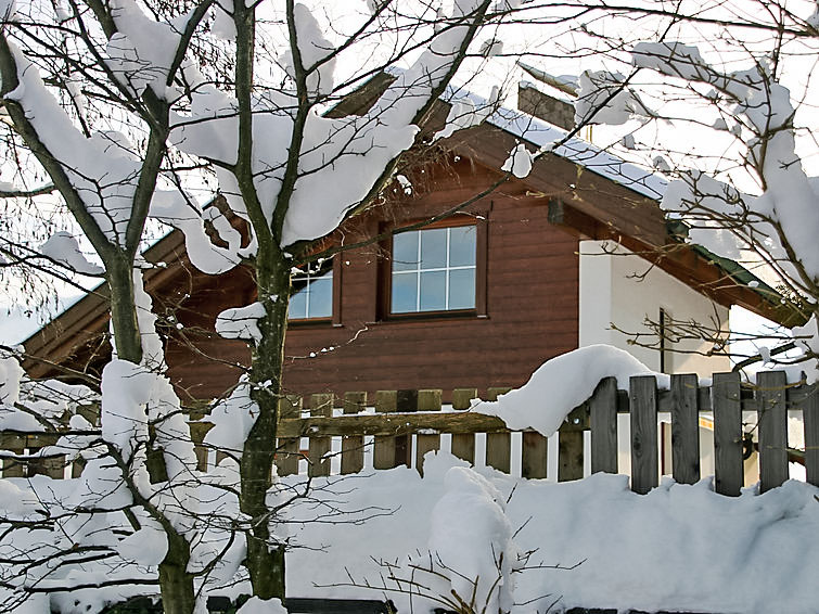 Foto van exterieur van Vakantiehuis Achenkirchin de winter