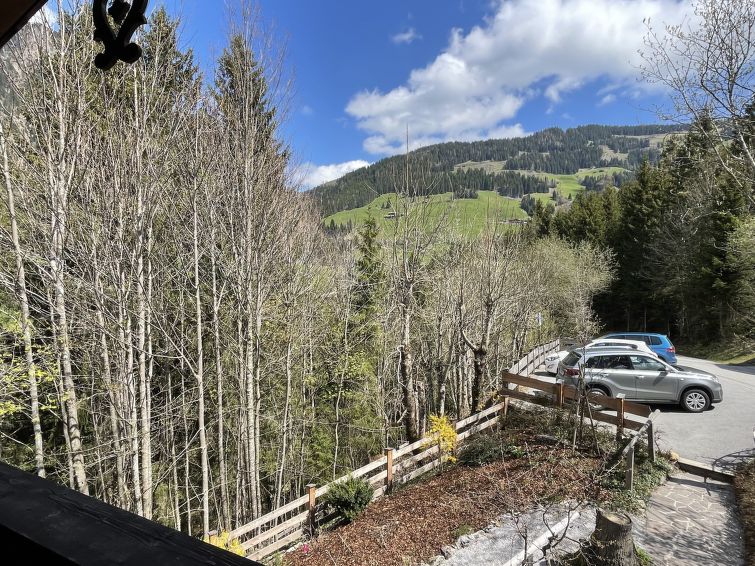 Foto van exterieur van Appartement Alpbach