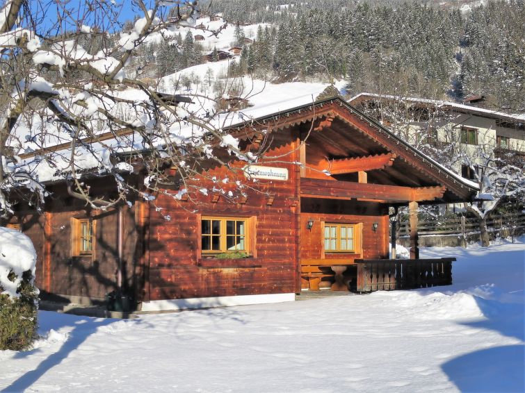 Foto van exterieur van Vakantiehuis Mayrhofenin de winter