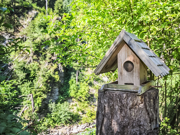 Foto van wonen van Vakantiehuis Pettneu am Arlberg