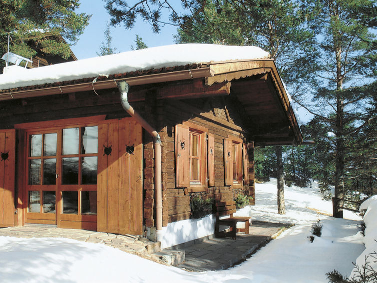 Foto van exterieur van Vakantiehuis Imstin de winter