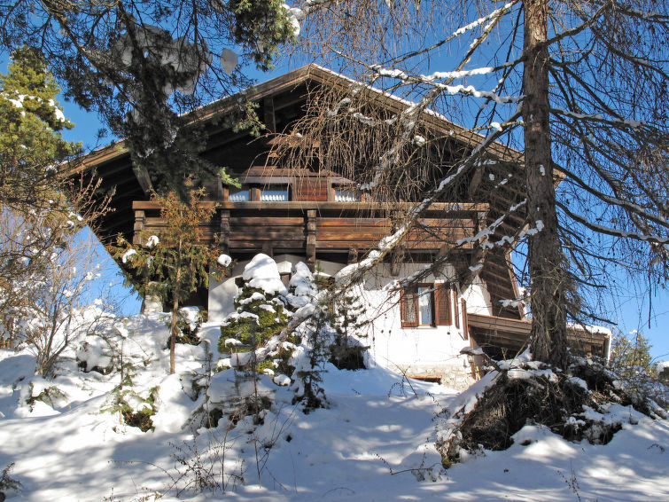 Foto van exterieur van Vakantiehuis Imstin de winter