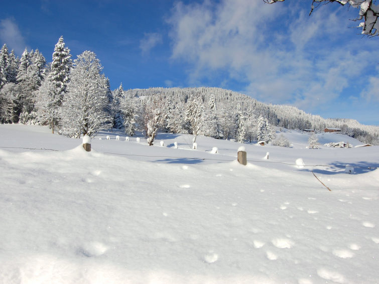 Foto van exterieur van Appartement Hopfgarten im Brixentalin de winter