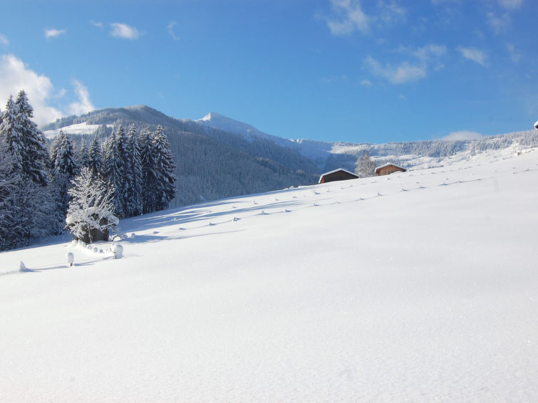 Foto van exterieur van Appartement Hopfgarten im Brixentalin de winter