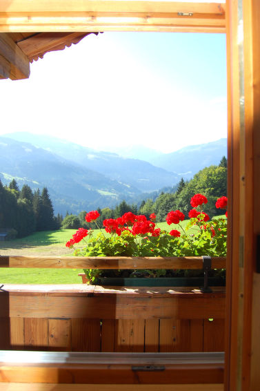 Foto van wonen van Appartement Hopfgarten im Brixental